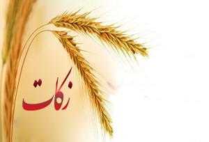 مدیرکل کمیته امداد زنجان: زکات می‌تواند چرخه فقر را برای همیشه قطع کند