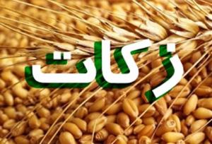 زارع: پرداخت زکات در اصفهان ۲۰۰ درصد افزایش یافت