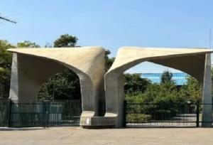 معاون فرهنگی و اجتماعی دانشگاه تهران منصوب شد