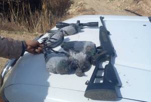 شکارچیان غیرمجاز «شاه‌جهان» دستگیر شدند