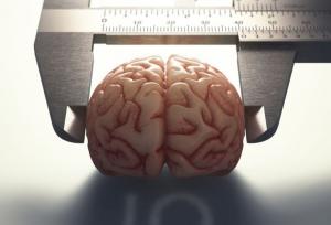 وقتی ضریب هوشی بر شنوایی غلبه می‌کند!