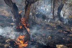 عملیات مهار آتش در منطقه نراب جیرفت رو به پایان‌ است