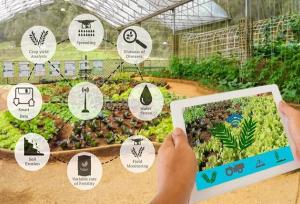 اینترنت اشیاء می‌تواند مسیر کشاورزی ایران را تغییر دهد