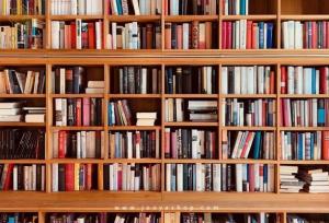 مدیرکل کتابخانه‌های عمومی استان: کتابخانه‌های قدیمی ایلام با تمرکز بر کودک و نوجوان بازسازی می‌شوند