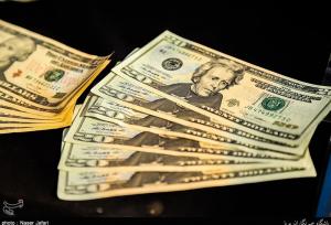 ارز خدماتی از 15 دی با نرخ بازار تجاری محاسبه می‌شود