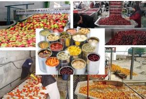 ظرفیت فرآوری بیش از ۵ میلیون تن محصول خام کشاورزی در همدان