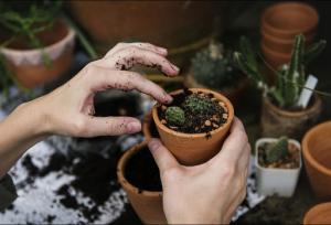 باغبانی، خطر درد زانو و آرتروز را کاهش می‌دهد