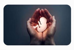 ایستادگی برای نفس‌های ناتمام/ نجات جان ۲۷۷ جنین در جنوب کرمان