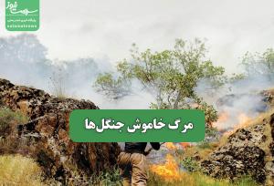 مرگ خاموش جنگل‌ها