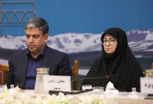 انصاری: رویکردهای زیست‌محیطی در سیاستگذاری‌های توسعه الزامی است