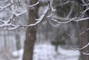 نخستین برف پاییزی در دماوند