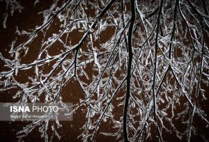 هشدار هواشناسی درباره رگبار برف و کاهش دما در البرز