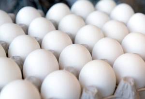 کشف حدود ۳۰ هزار تخم‌مرغ فاقد مجوز در سیاهکل