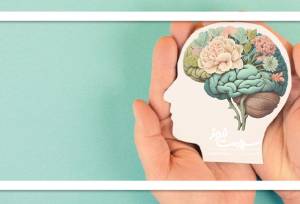 نظریه ذهن آبی درباره چیست؟