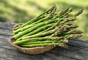 گیاه لوکس «مارچوبه» به سبد تولیدات کشاورزی همدان اضافه می‌شود