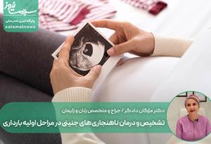 تشخیص و درمان ناهنجاری‌های جنینی در مراحل اولیه بارداری
