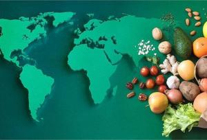 همبستگی الیگارشی-تکنوپلیتیک در صنعت غذا