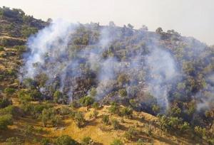 آتش سوزی جنگل‌های منطقه «شلال دان» شهرستان باشت مهار شد