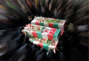 میزبانی دشتی از فرزندان بی‌ادعای وطن؛ امتداد مسیر ایثار و مقاومت