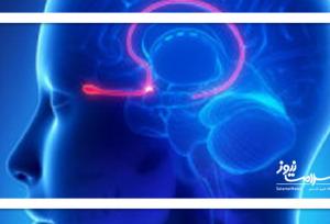 انسان فقط پنج حس ندارد