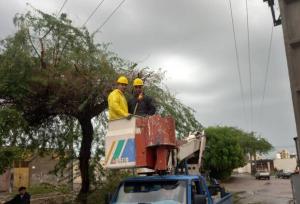 رفع نواقص و برقراری برق در محله دوهزار بندرعباس با اصلاح خطوط برق