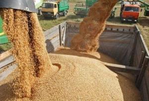 تامین ۵۰ هزار تن نهاده دامی در هرمزگان