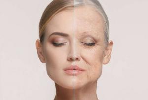 کشف پروتئینی که می‌تواند سلول‌های بنیادی را «جوان» کند