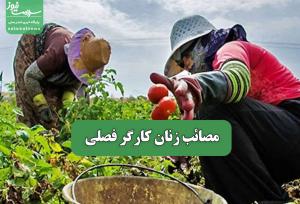 مصائب زنان کارگر فصلی