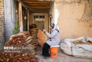 یوسفیان: نقش روستائیان در حفظ فرهنگ و اقتصاد کلیدی است