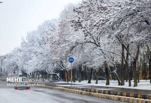 رحمان نیا: سامانه جدید بارشی از روز شنبه وارد استان زنجان می شود