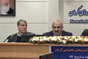 معاون گمرک کشور: بخش خصوصی قسمتی از کار سیاست‌گذاری را از دولت بگیرد