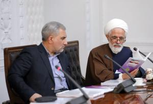 انصاری: آسیب‌شناسی نحوه اجرای قانون اساسی از مهمترین موضوعات است