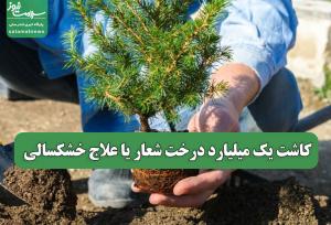 کاشت یک میلیارد درخت شعار یا علاج خشکسالی