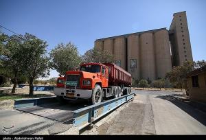 خرید تضمینی گندم از مرز ۵ میلیون تن گذشت