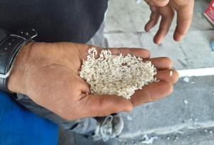 افزایش چشمگیر بهای برنج در بوشهر؛ نظارت بر بازار تقویت شود