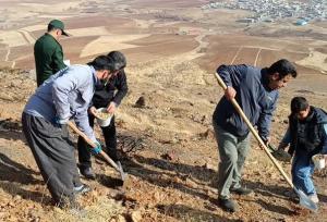 کپه‌کاری در مراتع دهگلان آغاز شد،اجرای طرح در سراسر کردستان