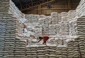 توزیع ۹۵۴ تُن برنج تنظیم بازاری در استان قزوین