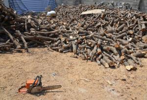 کشف بیش از یک تن چوب قاچاق در سروآباد