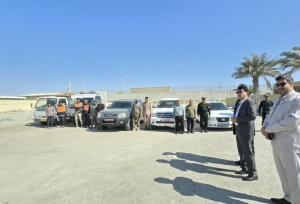 طرح جمع آوری شترهای سرگردان در شهرستان جاسک آغاز شد