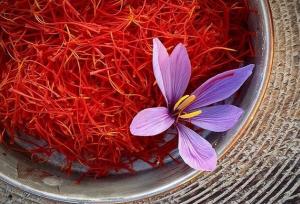 اعطای ۳۰ میلیارد تومان تسهیلات برای ایجاد انبار بورس و بسته‌بندی زعفران در خراسان شمالی