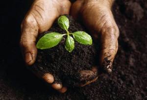 خاک‌شناسی، سنگ بنای برنامه‌ریزی کشاورزی در خوزستان است