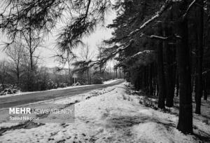 مرادی: بارش شدید برف در ۵ محور گیلان؛ زندانه همچنان مسدود است
