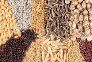 کامیون حامل ۵ تن خوراک طیور فاقد مجوز در الیگودرز توقیف شد