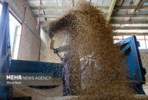 باند ۶ نفره سرقت از قطار حامل غلات در الوار گرمسیری دستگیر شدند
