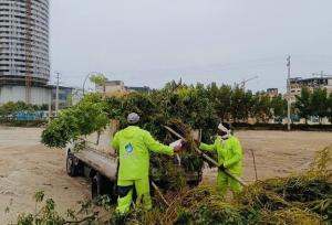 طوفان و بارندگی‌ها بیش از ۳۶ میلیارد ریال به فضای سبز قشم خسارت زد