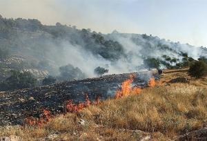 آتش‌سوزی در جنگل‌های فلات شهرستان سرچهان مهار شد