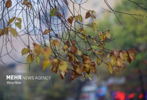 هواشناسی ایران امروز ۱۱ مهر؛ صدور هشدار سرمازدگی