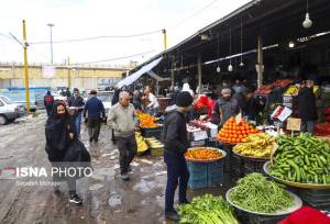 عرضه مستقیم میوه و تره بار در ۵۰ غرفه در سطح مشهد برای ماه رمضان و نوروز