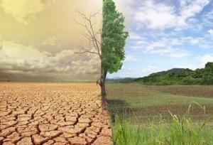تغییر اقلیم باید به محتوای مدرسه و دانشگاه وارد شود