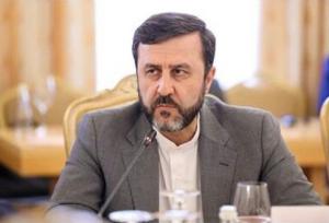 غریب آبادی: تیم آژانس به ایران می‌آید اما از تاسیسات بازدید نمی‌کند